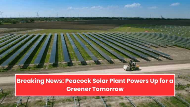 Breaking News Peacock Solar Plant Powers Up for a Greener Tomorrow