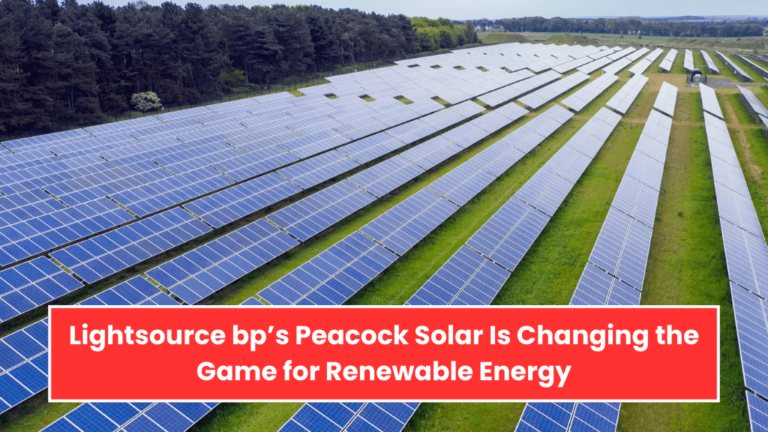 Lightsource bp’s Peacock Solar Is Changing the Game for Renewable Energy