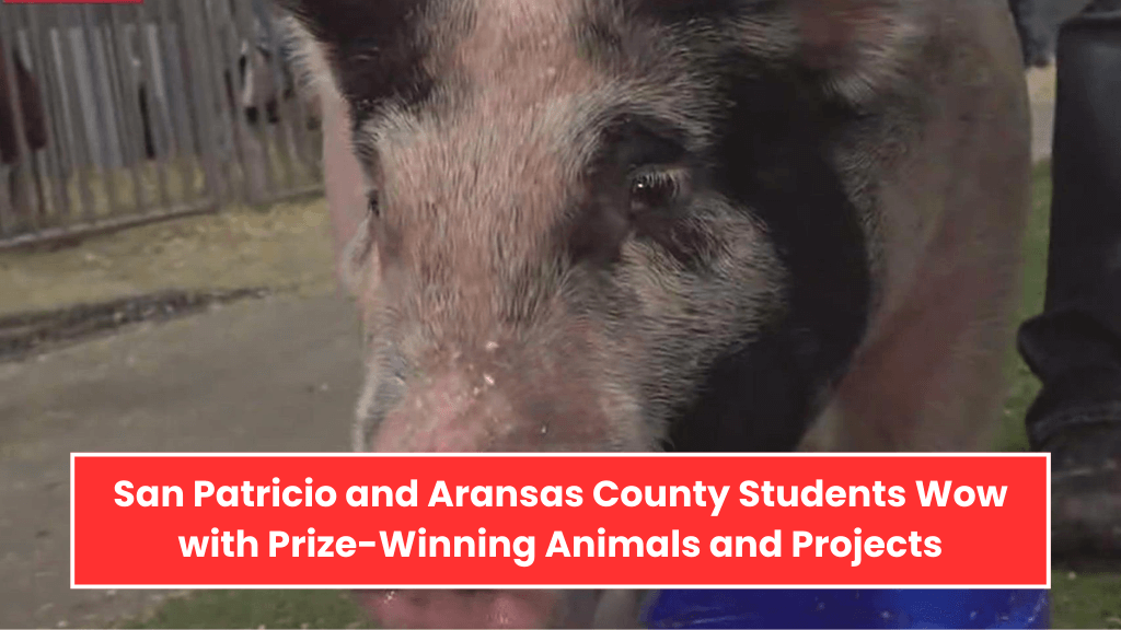 San Patricio and Aransas County Students Wow with Prize-Winning Animals and Projects